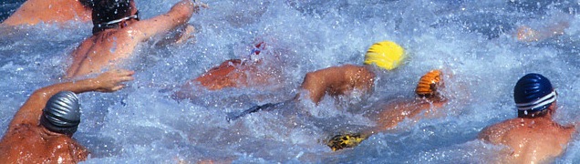 Swimmers Racing Together
